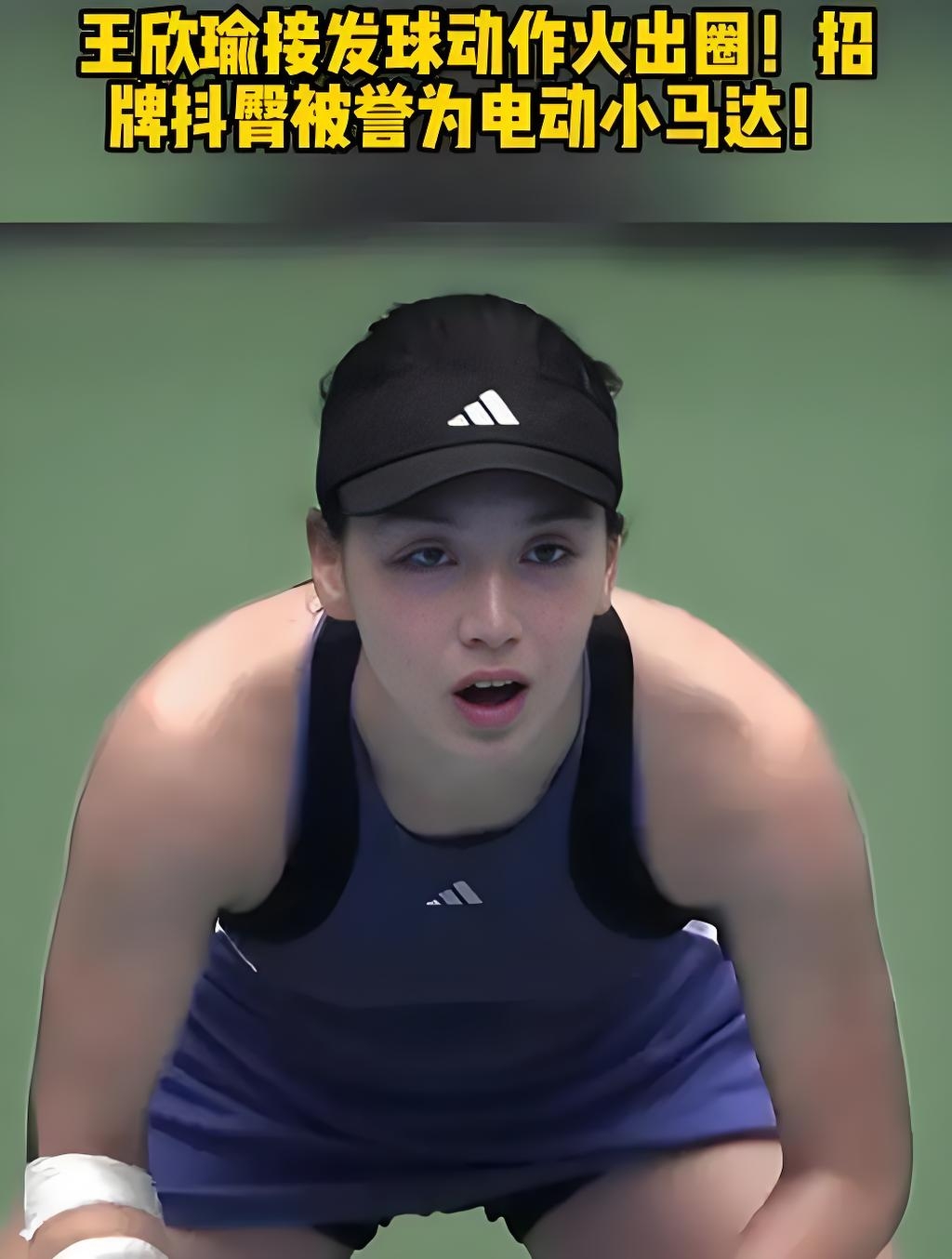 的体系角色 的体系角色